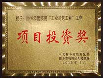 项目投资奖